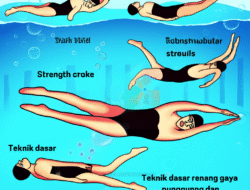 Teknik dasar renang gaya punggung dan manfaatnya bagi kesehatan